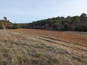 gps ou cordeau pistachiers