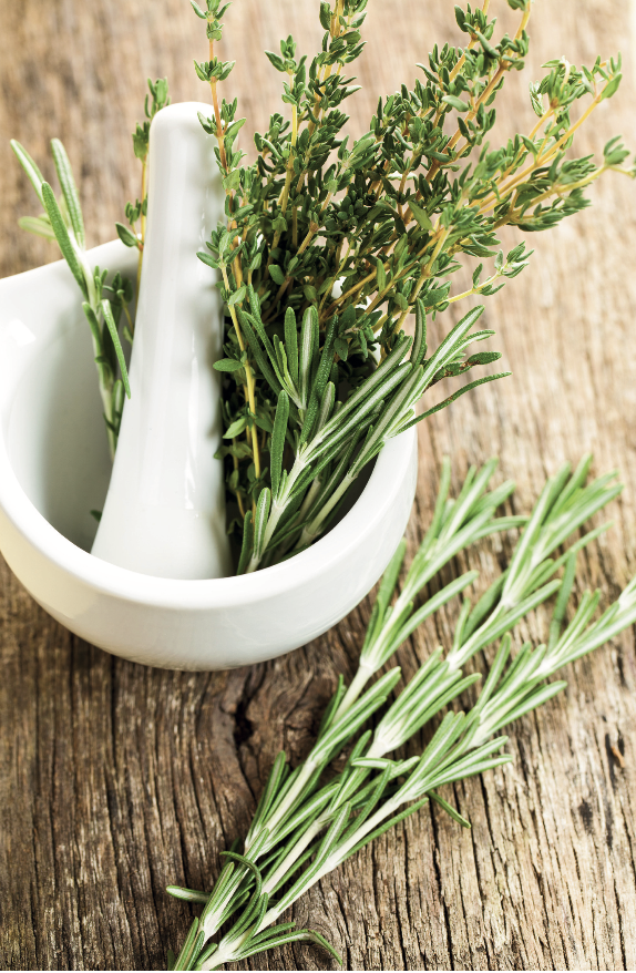 Thym et romarin frais